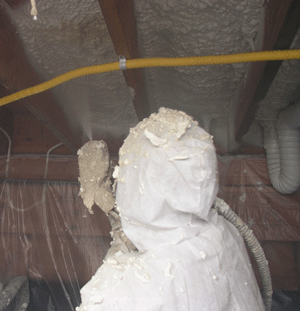 Sacramento CA crawl space insulation